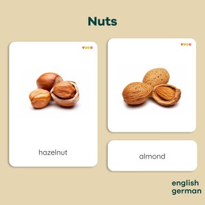 10 NUTS Montessori Cards with real pictures, Flash Cards, Nomenclature Cards, Classified cards, Pdf digital Printable , Montessori Toys