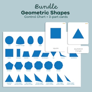 Gráfico de control del gabinete de geometría Montessori, geometría primaria, tarjetas de nomenclatura de FORMAS GEOMÉTRICAS, formas de aprendizaje para preescolar y jardín de infantes
