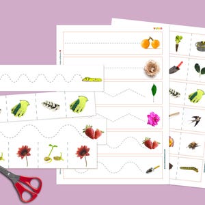 Op de afbeelding: Educatieve werkbladen met een tuinthema met afbeeldingen van aardbeien, bloemen en tuingereedschap. De prints hebben stippellijnen om te oefenen met knippen en een schaar met rode handgreep. De achtergrond is lichtpaars.