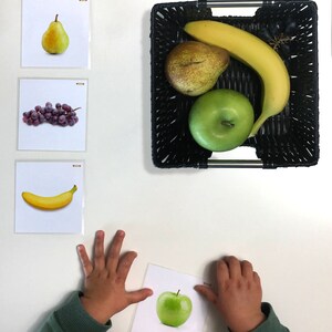 May include: A set of four flashcards featuring images of a pear, grapes, a banana, and an apple. The flashcards are white with a red border and the word "FOOD" printed in the top right corner. A child's hands are holding a fifth card with an apple image.