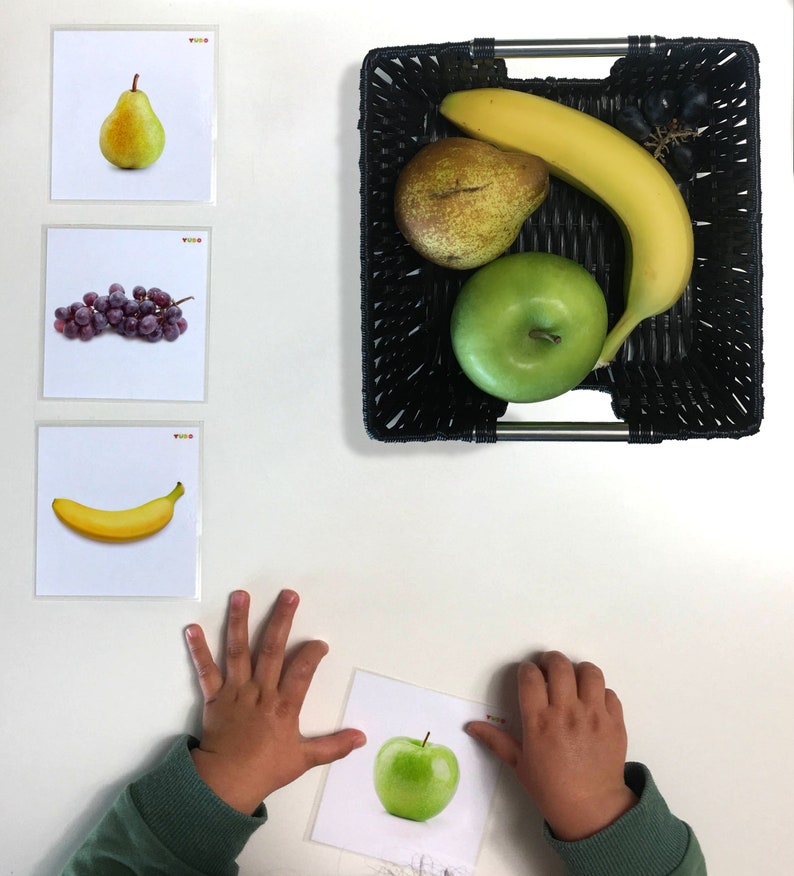 May include: A set of four flashcards featuring images of a pear, grapes, a banana, and an apple. The flashcards are white with a red border and the word "FOOD" printed in the top right corner. A child's hands are holding a fifth card with an apple image.