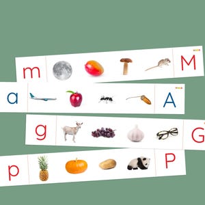 May include: A set of colorful flashcards with letters and pictures. The letters are in red, blue, and green. The pictures include a moon, a mango, a mushroom, a mouse, an airplane, an apple, an ant, an acorn, a goat, grapes, garlic, glasses, a pineapple, a pumpkin, a potato, and a panda.