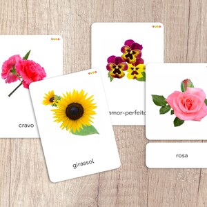 Tarjetas de nomenclatura FLOWERS. Botánica Montessori. Lección botánica. Juego de cartas de vocabulario para niños. Portugués brasileño. Actividad de identificación