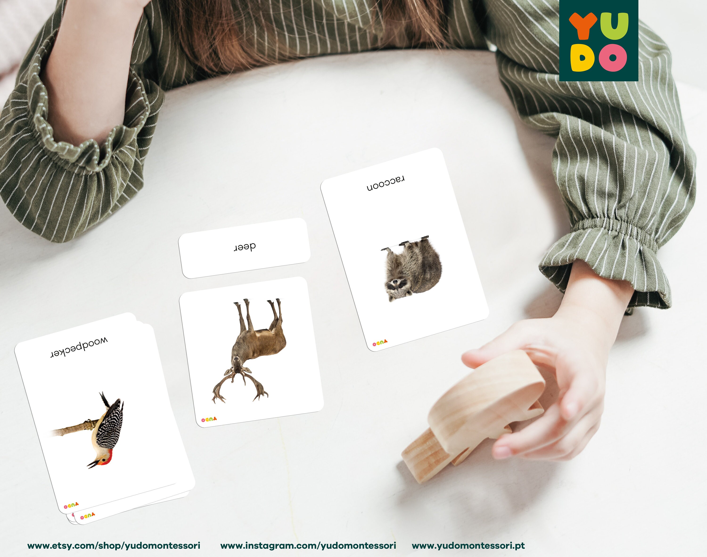 FOREST ANIMALS Montessori Cards, Nomenclature Cards for Toddlers, 3 to ...