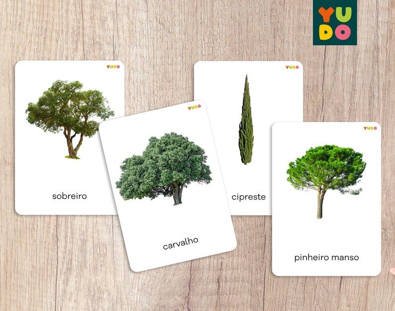 TREES Recognition Cards in Portuguese and English Montessori Etsy