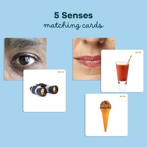 May include: Educational matching cards with images representing the five senses. The cards include an eye, lips, binoculars, a glass of tomato juice, and an ice cream cone. The text "5 Senses matching cards" is at the top.