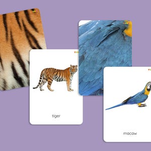 Animals Skin Matching Cards, Montessori Animal Pattern Matching Printable Cards for Kids, animal games for toddlers, animals of the world