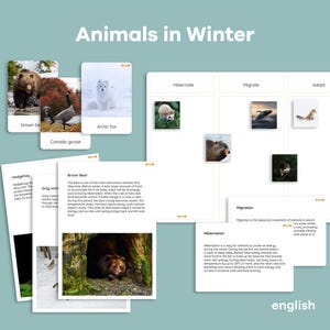 Puede incluir: Un gráfico con el título "Animales en invierno" y tres columnas etiquetadas como "Hibernar", "Migrar" y "Adaptarse". El gráfico muestra imágenes de animales y cómo sobreviven al invierno. También hay cuadros de texto con descripciones de la hibernación y la migración.