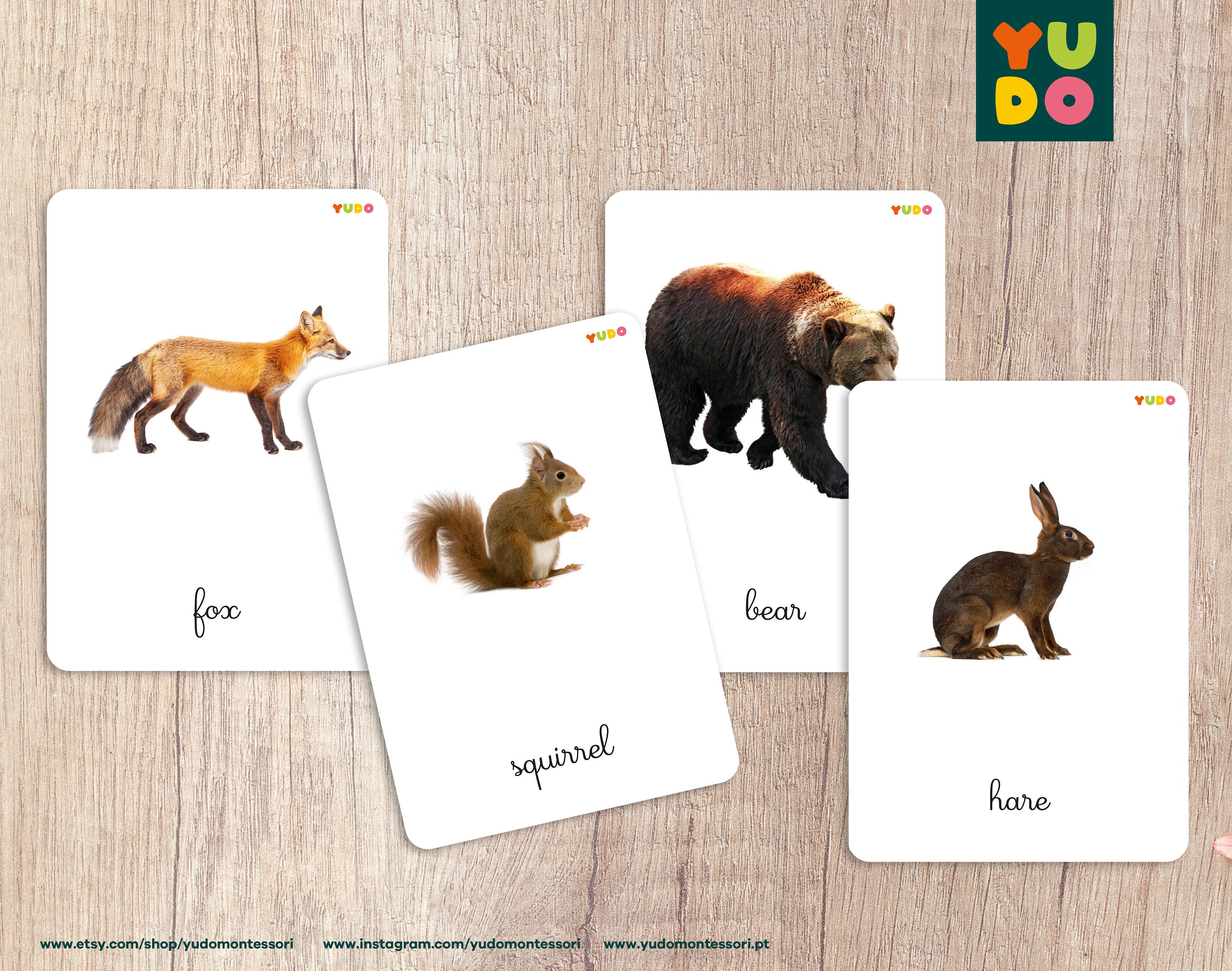 FOREST ANIMALS Montessori Cards, Nomenclature Cards for Toddlers, 3 to ...