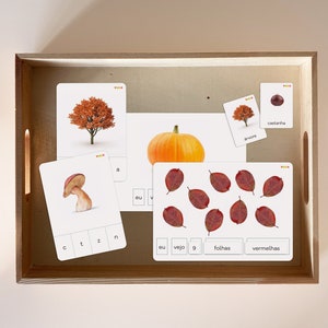 Pode incluir: Um conjunto de flashcards educacionais com imagens de uma árvore, uma abóbora, um cogumelo e folhas vermelhas. Os cartões têm palavras portuguesas neles, incluindo "árvore", "abóbora", "cogumelo" e "folhas vermelhas".