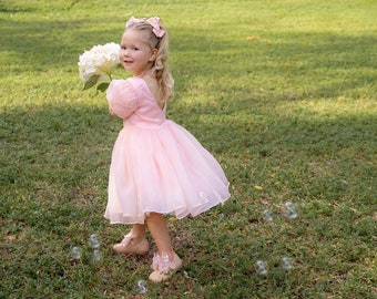 Flower Girl Dress | Girls Dress For Celebrations | Birthday Girl Dress | Toddler Pink Puffy Dress | Wedding Dress | Girls Princess Dress