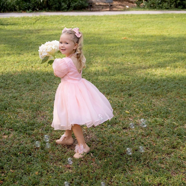 Flower Girl Dress | Girls Dress For Celebrations | Birthday Girl Dress | Toddler Pink Puffy Dress | Wedding Dress | Girls Princess Dress