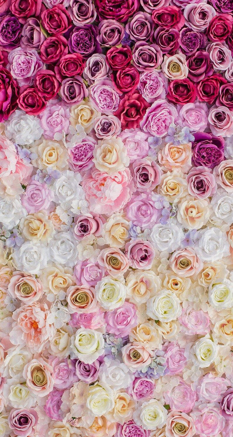Puede incluir: Una pared de flores artificiales en tonos de rosa, blanco y crema. Las flores est&aacute;n dispuestas en un patr&oacute;n de degradado, con las flores rosa m&aacute;s oscuras en la parte superior y las flores crema m&aacute;s claras en la parte inferior.
