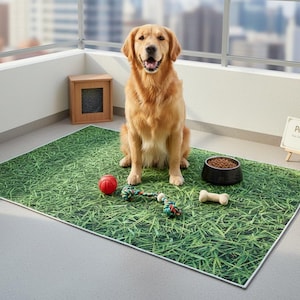 May include: A golden retriever sits on a green grass-print mat with a red ball, rope toy, and bone-shaped chew toy. A black bowl of dog food and a small sign that says "Pet Zone" are also present. The scene is set on a balcony.