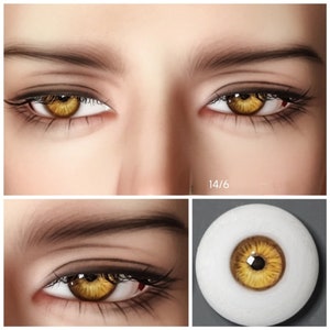 May include: Close-up of a pair of realistic-looking brown and gold colored glass eyes. The eyes are set in a white background.