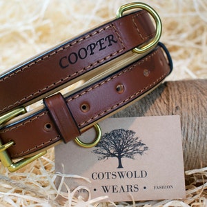 Personalisiertes braunes Leder Hundehalsband / Premium weich gepolstertes Hundehalsband / Messing Metall-Hardwares / Hundehalsband mit Gravur / Welpe und Hundehalsband