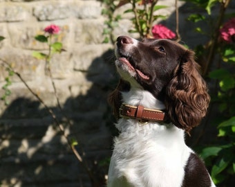 Personalised Premium Brown Leather Dog Collar/ Handmade Comfortable Stylish Soft Padded Cushioning/ Engraved Customisation/ Puppy and Dog