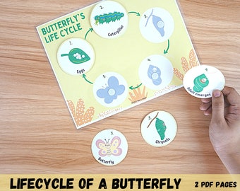 Lifecycle of a butterfly printable pdf busy book page, preschool, homeschool, Montessori learning binder