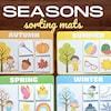 Buy Five Sense Sorting Mats Activity Online in India - Etsy