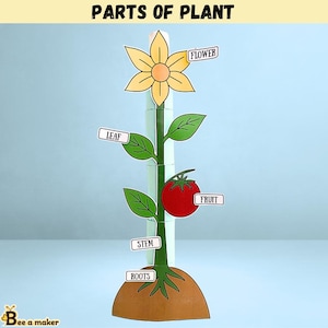 May include: A paper model of a plant, labelled with parts: flower, leaf, stem, roots, and fruit. The flower is yellow with an orange centre. The fruit is a red tomato. The text "PARTS OF PLANT" is at the top.