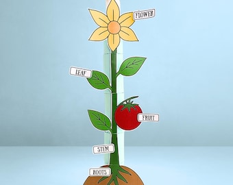 Parts of plant pdf, science activity model