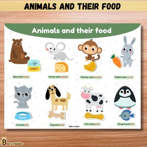 Könnte beinhalten: Ein farbenfrohes Lehrposter mit dem Titel "Tiere und ihre Nahrung" zeigt Illustrationen verschiedener Tiere mit ihren jeweiligen Nahrungsmitteln. Das Poster zeigt einen Bären mit Honig, eine Maus mit Käse, einen Affen mit Bananen und ein Kaninchen mit einer Karotte.