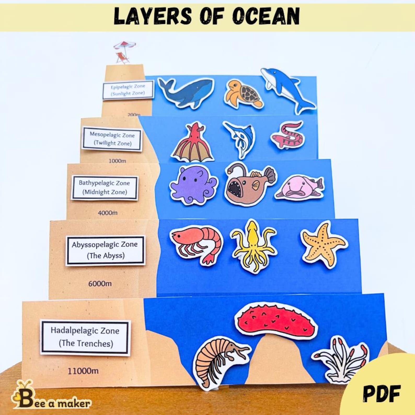 Layers of Ocean Printable Pdf, Science Model - Etsy
