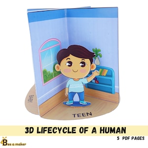Ciclo de vida de una manualidad 3D imprimible en pdf humano, niños pequeños, preescolar, autismo, Montessori, actividad de educación en el hogar