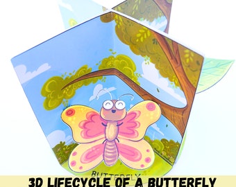 Butterfly lifecycle 3D craft, Montessori activity