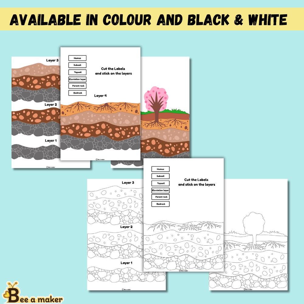 Layers of Soil Pdf, Science Activity - Etsy