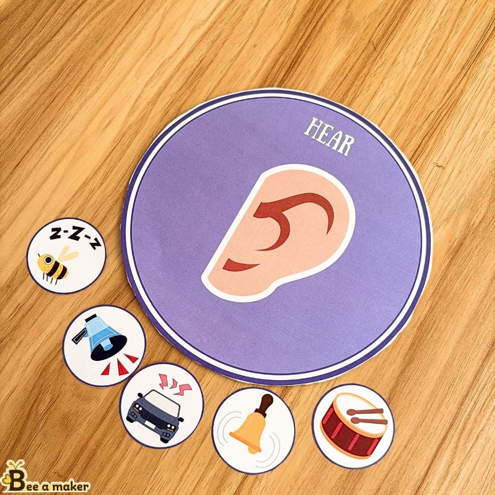 Five Sense Sorting Activity Pdf for Toddlers, Homeschool, Preschool ...