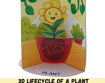 Lifecycle of a plant printable pdf 3d craft, Toddler, Preschool, Home school, Montessori, Autism