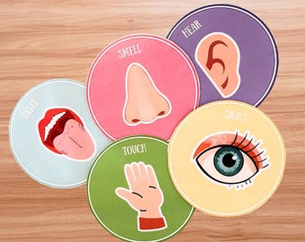 Five sense sorting activity pdf for toddlers, homeschool, preschool, science activity