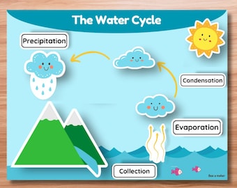 May include: A colorful educational poster titled "The Water Cycle." The poster features illustrations of clouds, mountains, a sun, and arrows depicting the water cycle process. Text labels include "Precipitation," "Condensation," "Evaporation," and "Collection."