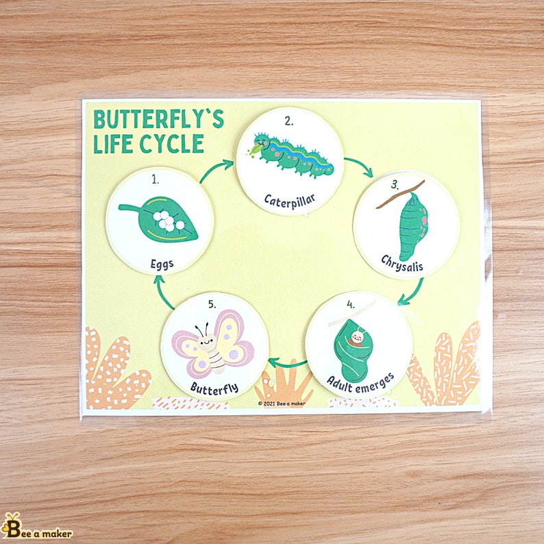 Lifecycle of a Butterfly Printable Pdf Busy Book Page Etsy Australia