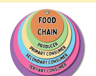 Food Chain Learning Wheels – Desert, Ocean, Polar & Grassland