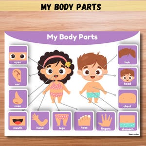Occupé livre Parties du corps et parties de la tête imprimable pour les tout-petits | Cartable d'apprentissage préscolaire Montessori | Activités éducatives pour les enfants