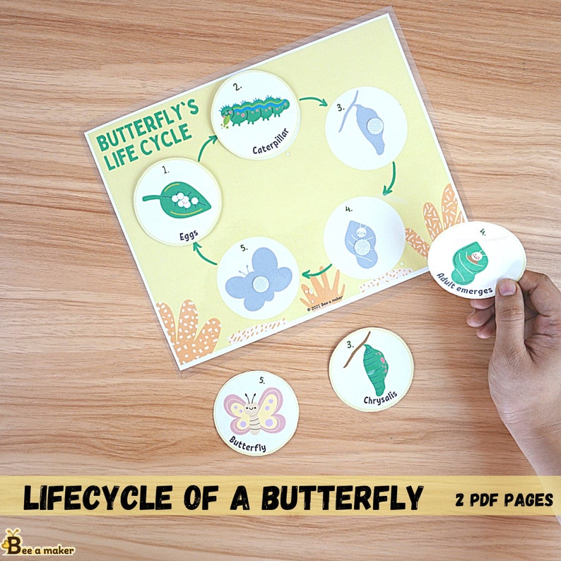 Lifecycle of a Butterfly Printable Pdf Busy Book Page Etsy Australia