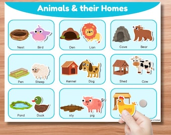 May include: A colorful educational poster titled "Animals & Their Homes" featuring illustrations of animals and their habitats. Includes a nest, bird, den, lion, cave, bear, pen, sheep, kennel, dog, shed, cow, pond, duck, sty, and pig.