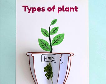 Types of Plants Printable Activity | Trees, Shrubs, Creepers Learning Cards | EVS Science Worksheet | Montessori