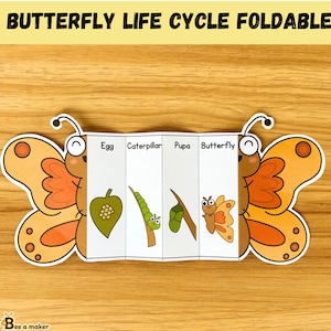 Butterfly life cycle foldable