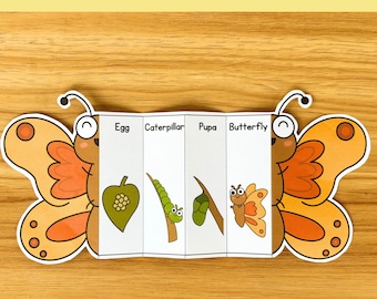 Butterfly life cycle foldable