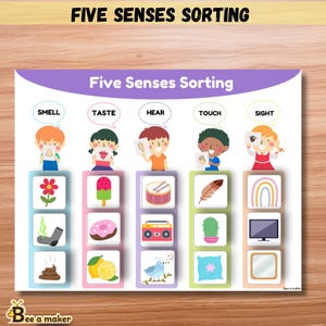 Puede incluir: Póster educativo "Five Senses Sorting" con ilustraciones de niños que representan los sentidos. Cada sentido tiene imágenes correspondientes: flor, helado, tambor, pluma y arcoíris. El póster está diseñado con fines educativos.