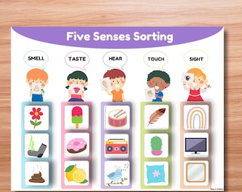 Página de libro con actividades de clasificación de los cinco sentidos / Aprendizaje inspirado en Montessori imprimible / Juego educativo para preescolar y jardín de infantes