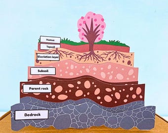 Layers of soil pdf, science activity