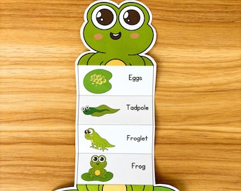 Frog life cycle foldable