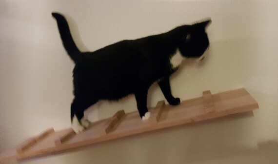 Chats Escalier De Poulet 60 Cm Mur Escalier Rayures Meubles Etsy