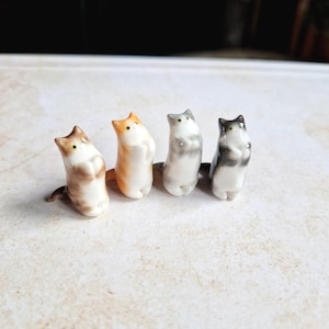Bedelende kattenbeeldjes in de kleuren smoking, oranje, grijs en bruin: een op maat gemaakt beeldje van een biddende kat in de kleur van uw kat.