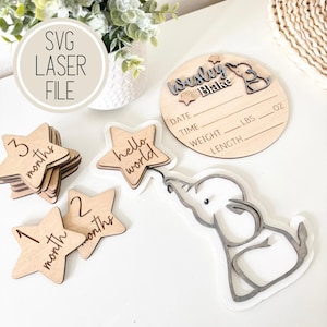 以下が含まれることがあります： 星型の「こんにちは世界」のサイン、ウェズリー・ブレイクの名前と出生情報のスペースのある丸いプレート、星型の月ごとのマイルストーンマーカーのセットが付いた木製ベビーマイルストーンセット。