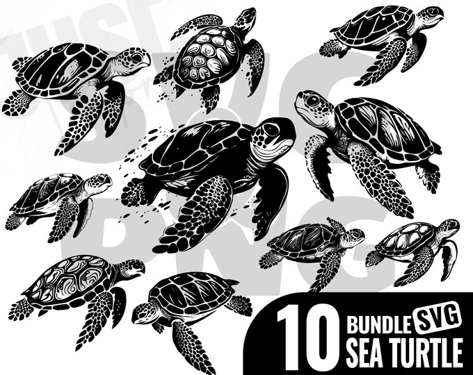 Turtle PNG, Turtle SVG, Sea Turtle Svg, Ocean Clipart Bundle, Ocean ...